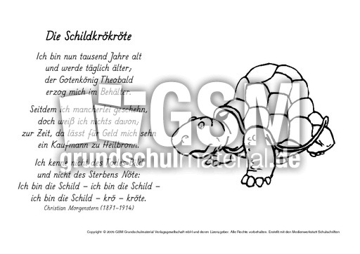 M-Die-Schildkrökröte-Morgenstern.pdf